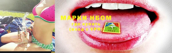 дурь Инта