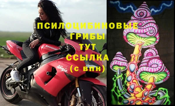 гидропоника Инсар