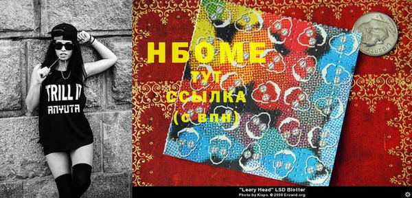 дурь Инта