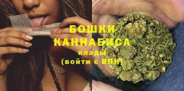 дурь Инта