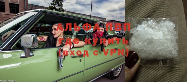 дурь Инта