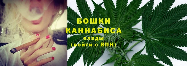 дурь Инта