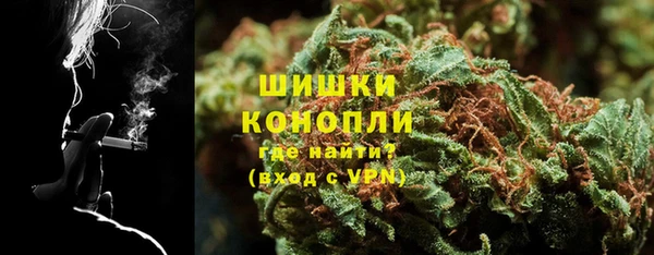дурь Инта