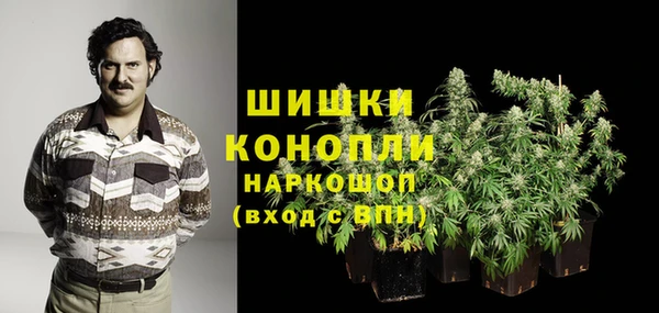 дурь Инта