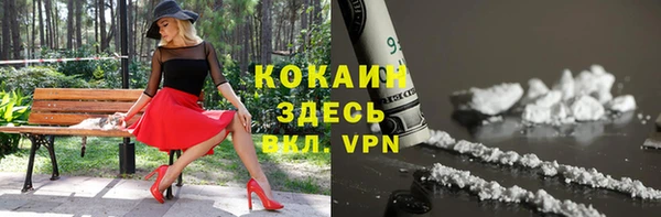дурь Инта