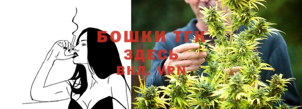 дурь Инта